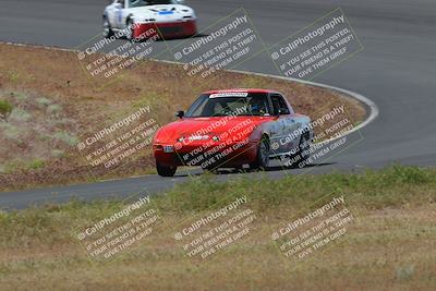 media/May-04-2024-Lucky Dog Racing (Sat) [[d39539b3f3]]/Race Pics/1015am (Turn 2)/